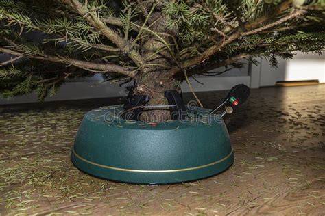 Naked Lobby Pics Stock Photos Free Royalty Free Stock Photos From Dreamstime