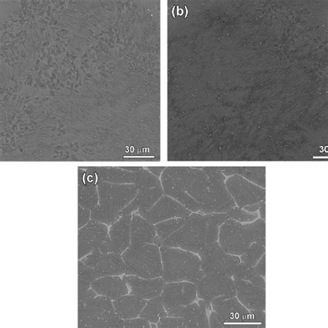 Sem Bse Micrographs Of The Specimens Sintered At Various Temperatures