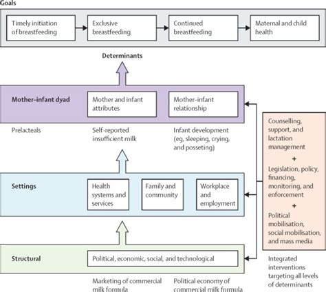 Early Feeding Skills Assessment Pdf Unveil Infant Feeding Cues