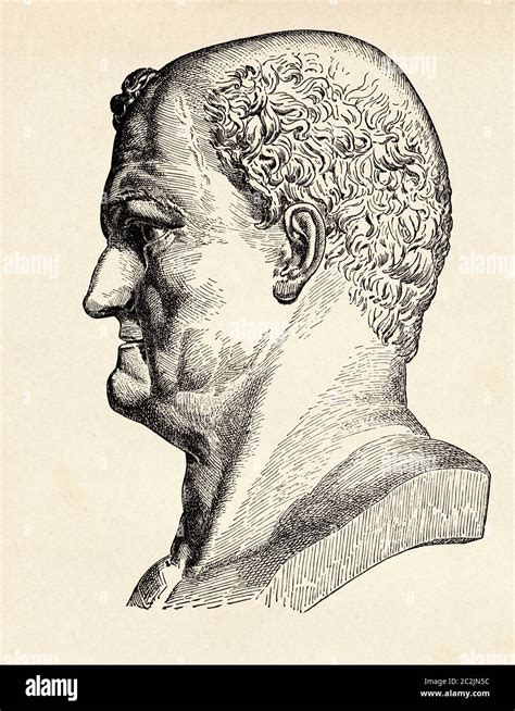 Portrait Of Vespasian