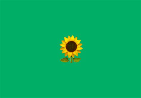 🌻 Sunflower emoji Meaning | Dictionary.com