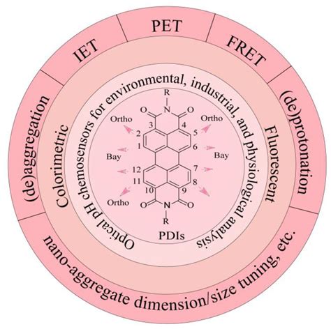 Chemosensors Free Full Text Architectures And Mechanisms Of