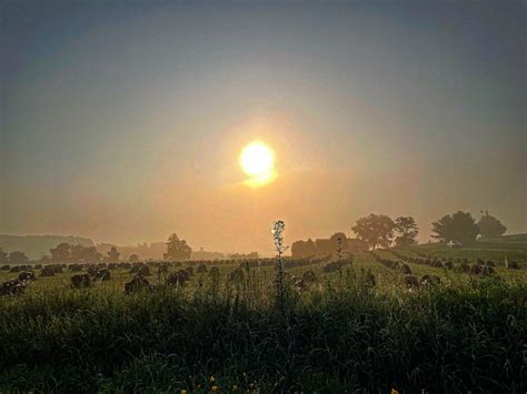 Sunshine Week highlights the importance of shining a light on