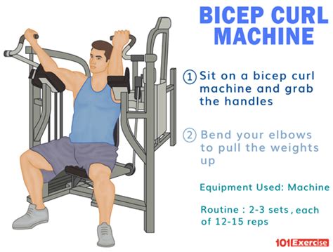 Bicep Curl Machine