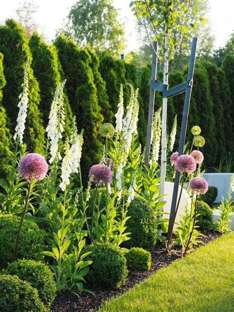50 Fast Growing Plants For Privacy To Best Screen Backyards Craftionary