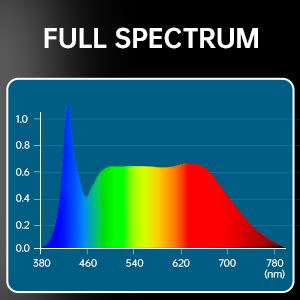 Amazon.com: Barrina Plant Grow Light, 4FT 5000K Full Spectrum White, 252W(6 x 42W), T8 LED Grow ...