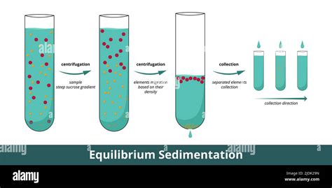 Centrifugation Process Of Separation