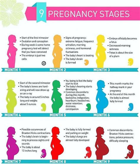 9 Month Pregnancy Stages - Medical Yukti 