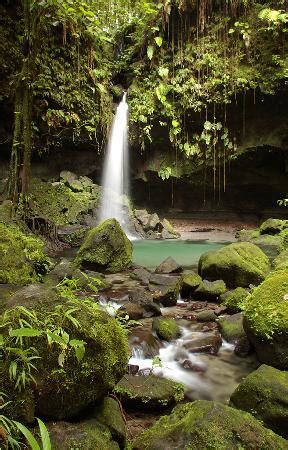 Dominica Images - Vacation Pictures of Dominica, Caribbean - Tripadvisor