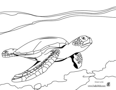 Leatherback Sea Turtle Coloring Page At Free