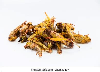 Image Crispy Fried Insects Stock Photo 2219734051 | Shutterstock