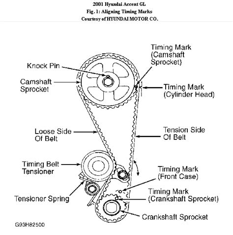 I need a diagram on how to replace the timing chain