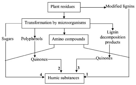 Mechanism Of Humic Substances Formation Stevenson 1982 1 Theory Of