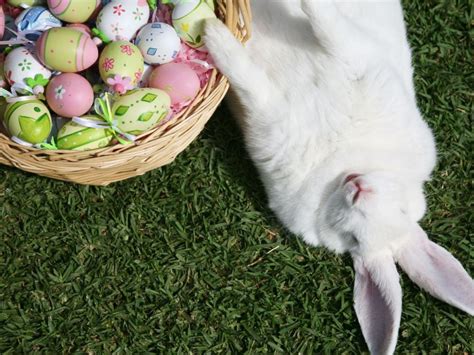 Osterbräuche aus aller Welt Von skurril bis liebenswert Ostern