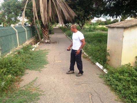 Mato Toma Conta Do Parque Municipal Josepha Coelho E Vereador Alerta