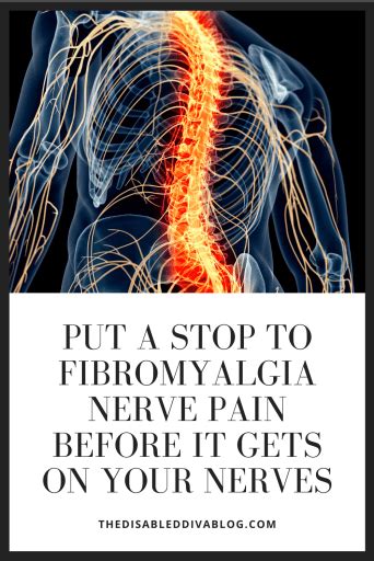 Put a Stop to Fibromyalgia Nerve Pain Before it gets on Your Nerves ...