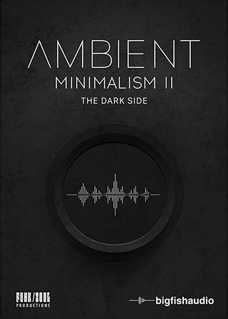 Big Fish Audio Ambient Minimalism The Dark Side Kontakt Vst Torrent