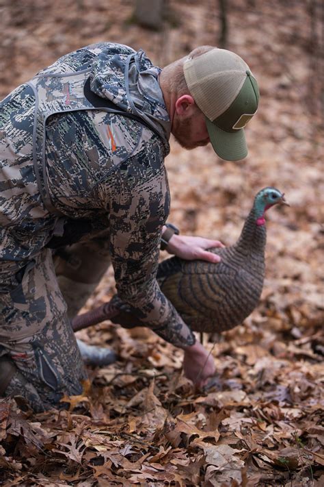 Strategies For Hunting Turkey On Public Land — Times To Hunt