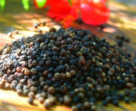 Organic Black Pepper Seeds For Food Medicine Spices Cooking Variety