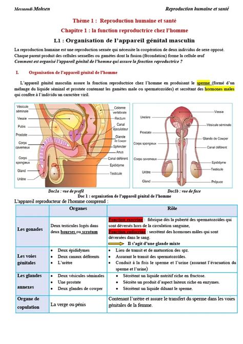 Bac Sc expérimentales Sciences SVT cours 1 bac svt la fonction