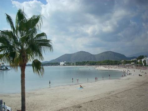 Port d'Alcudia Images - Vacation Pictures of Port d'Alcudia - Tripadvisor