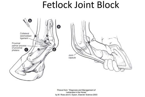 Intra Synovial Techniques