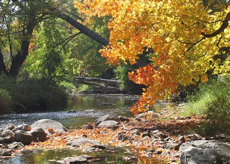 Wisconsin Fall Leaves Autumn Free Photo On Pixabay Pixabay