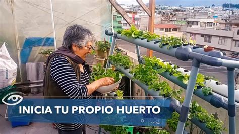 Beneficios De Tener Un Huerto Familiar Subrayando La Importancia De