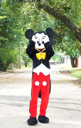 Cartoon Costumes - Kids Cartoon Costume Wholesaler from Chandigarh