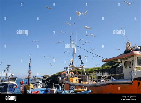 Fishing Boats Beached On The Shingle Beach At Cadgwith Cove On The