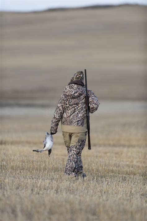 Duck Hunter in Field in North Dakota Stock Photo - Image of field ...