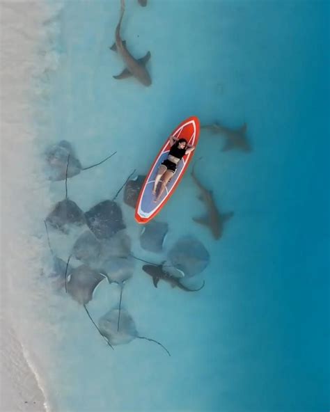 Abacos Bareboat Charter Photo Gallery Artofit