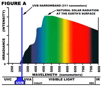 Understanding UVB Narrowband