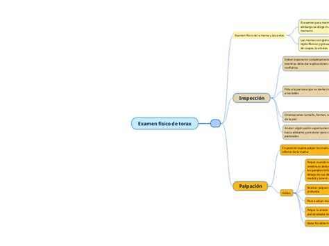 Examen Fisico De Torax Mind Map