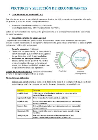 VECTORES Y SELECCION DE RECOMBINANTES Pdf