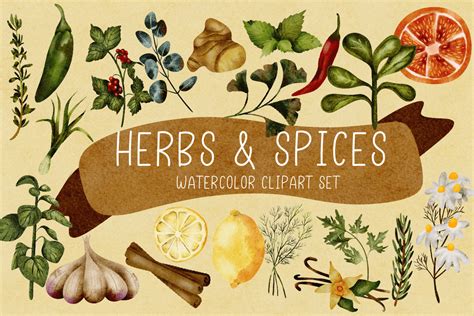 Spices And Herbs Clipart