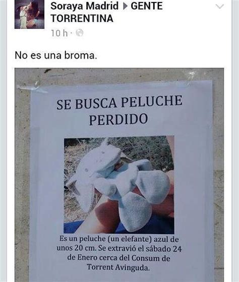 Buscan El Peluche Perdido De Su Hijo Colocando Carteles Ideal