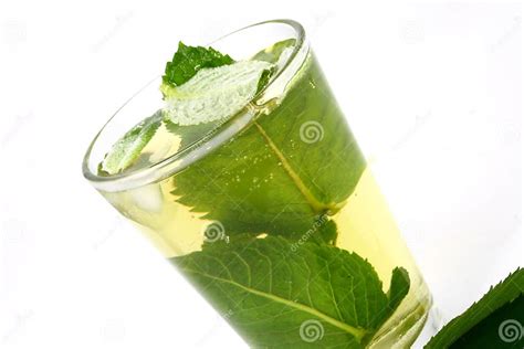 Ice Green Tea Stock Photo Image Of Tasty Lemon Relax 2507304