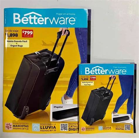 Cat Logo Betterware Junio Betterware