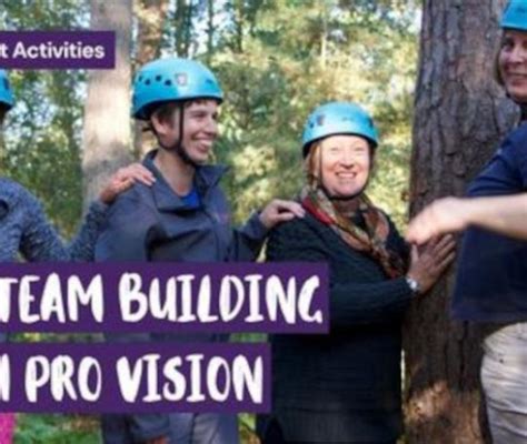 Company Away Day At New Forest Activities Pro Vision