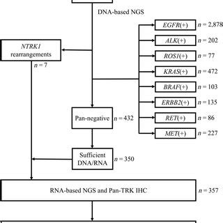 Ntrk Fusion Detected Using Ngs At Dna And Rna Levels And Pan Trk Ihc At