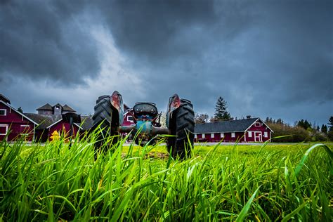 Ray Humphreys - Fort Steilacoom Park