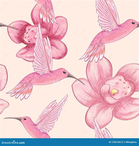 Seamless Pattern With Hummingbirds And Orchids Stock Vector - Illustration of seamless, summer ...