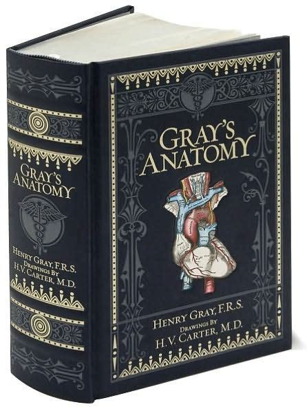 Gray S Anatomy Barnes Noble Collectible Editions By Henry Gray H V