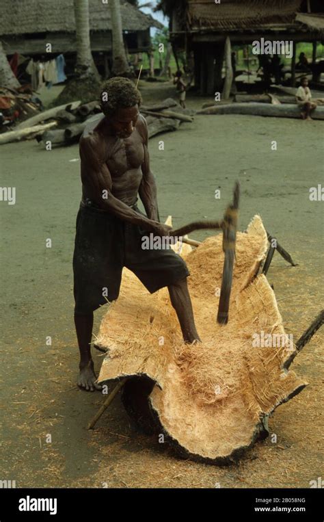 Palmier Png Banque De Photographies Et Dimages Haute R Solution Alamy