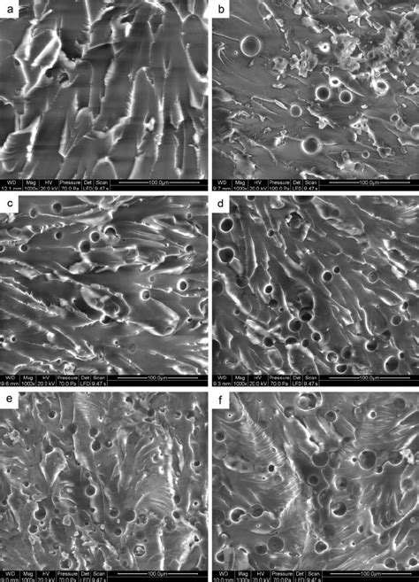 SEM Of Fracture Surfaces Of Cured Epoxy Resins A Neat Epoxy Resin