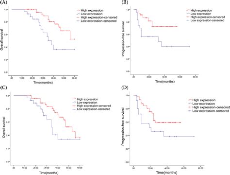 Oncologie Free Full Text Expression And Clinical Significance Of