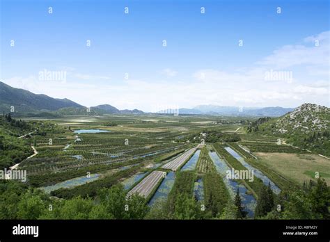 Neretva River Delta Agriculture High Resolution Stock Photography And