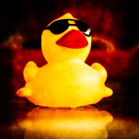 Rubber Duck Quirky And Playful Photography