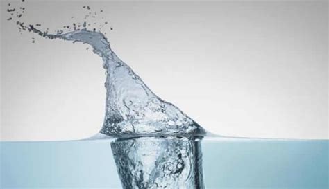 12 Common Things That Weigh About 6 Ounces (oz)